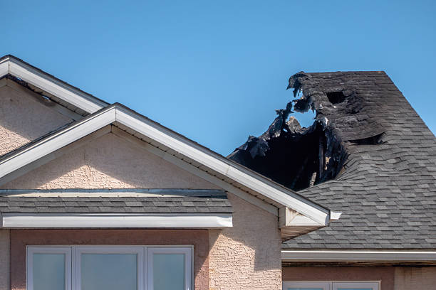 Top rated local Odor Removal specialists in Kirkland, WA